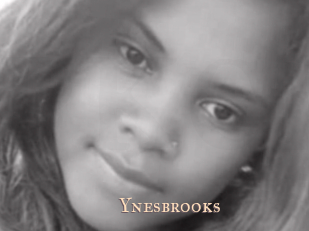 Ynesbrooks