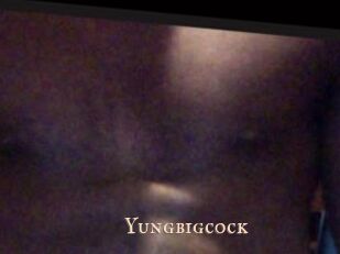 Yungbigcock