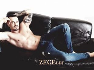 ZECElei