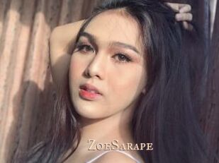 ZoeSarape Pink Center Fold