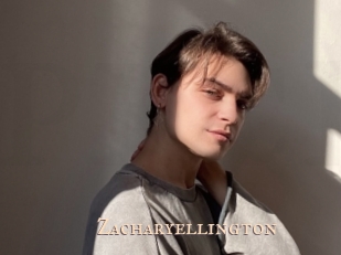 zacharyellington Pink Center Fold