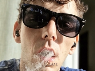 Zboy