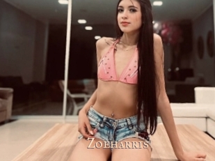zoeharris Pink Center Fold